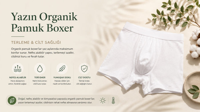 Yazın Neden Organik Pamuk Boxer? Terleme, Cilt Sağlığı ve GOTS Güvencesi